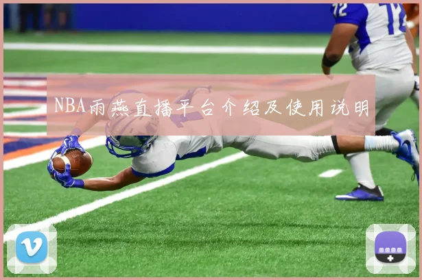 NBA雨燕直播平台介绍及使用说明